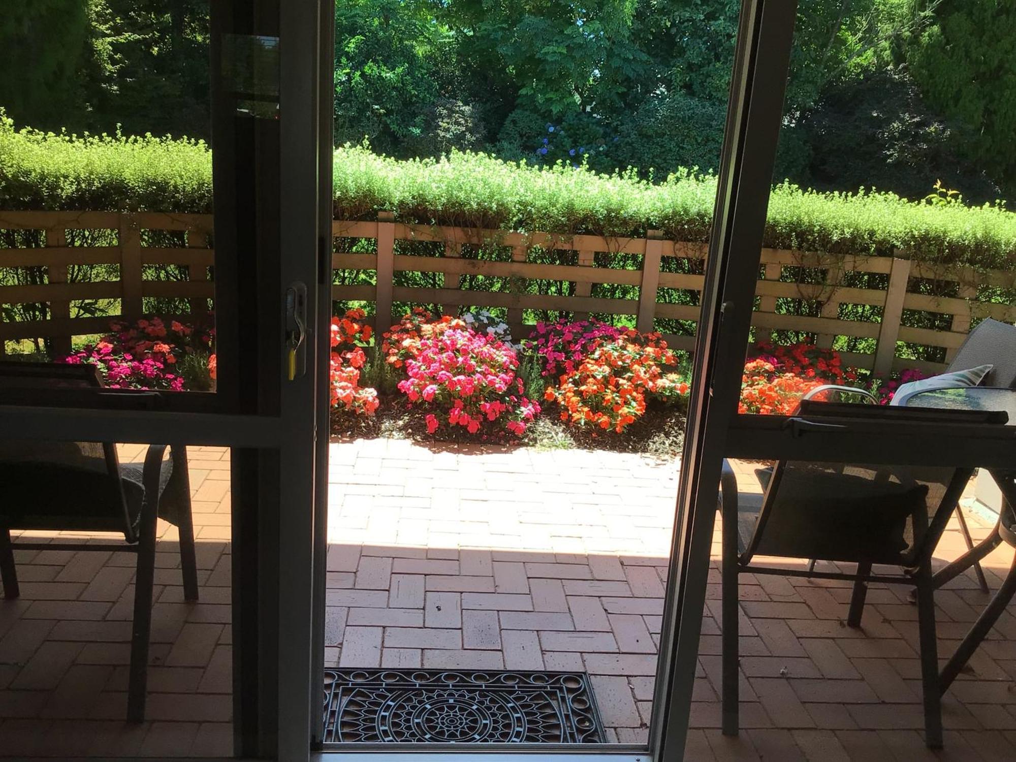 Bethlehem Garden Retreat Lejlighed Tauranga Eksteriør billede
